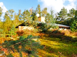 En rustik hytte med parabol, omgivet af tæt skov.