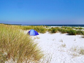 A tent on a sandy beach with grass in the foreground and the ocean in the background.