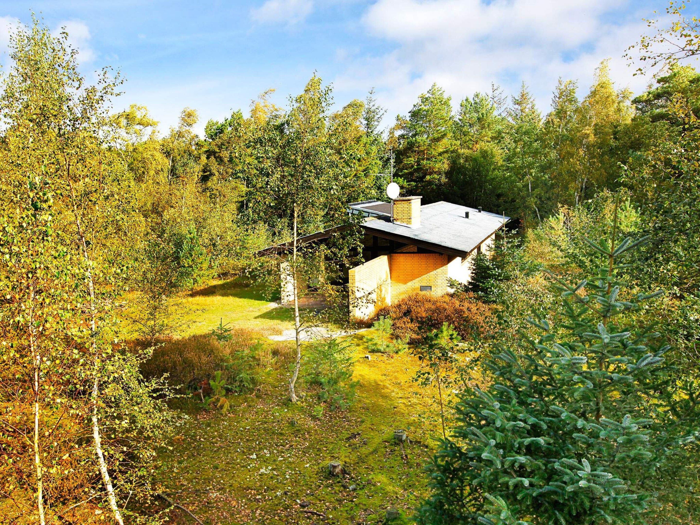 Una casa rodeada de un bosque frondoso y un cielo despejado.