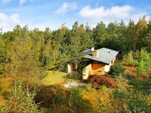 Ein Haus, umgeben von dichtem Wald, mit einem sichtbaren Schornstein und Satellitenschüssel.