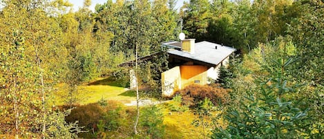 Una casa moderna rodeada de un bosque denso.