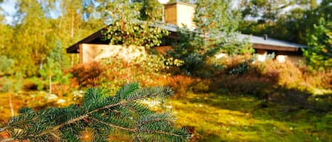 A house with a satellite dish, surrounded by trees and greenery.