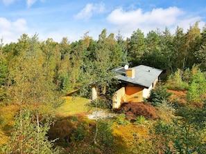 Une maison entourĂ©e dâune forĂȘt dense, avec une cheminĂ©e et une antenne parabolique bien visibles.