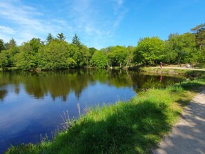 A tranquil lake surrounded by lush greenery and trees, with a clear sky above. - Elegant Holiday Home in Ålbæk near Sea (Aalbaek)