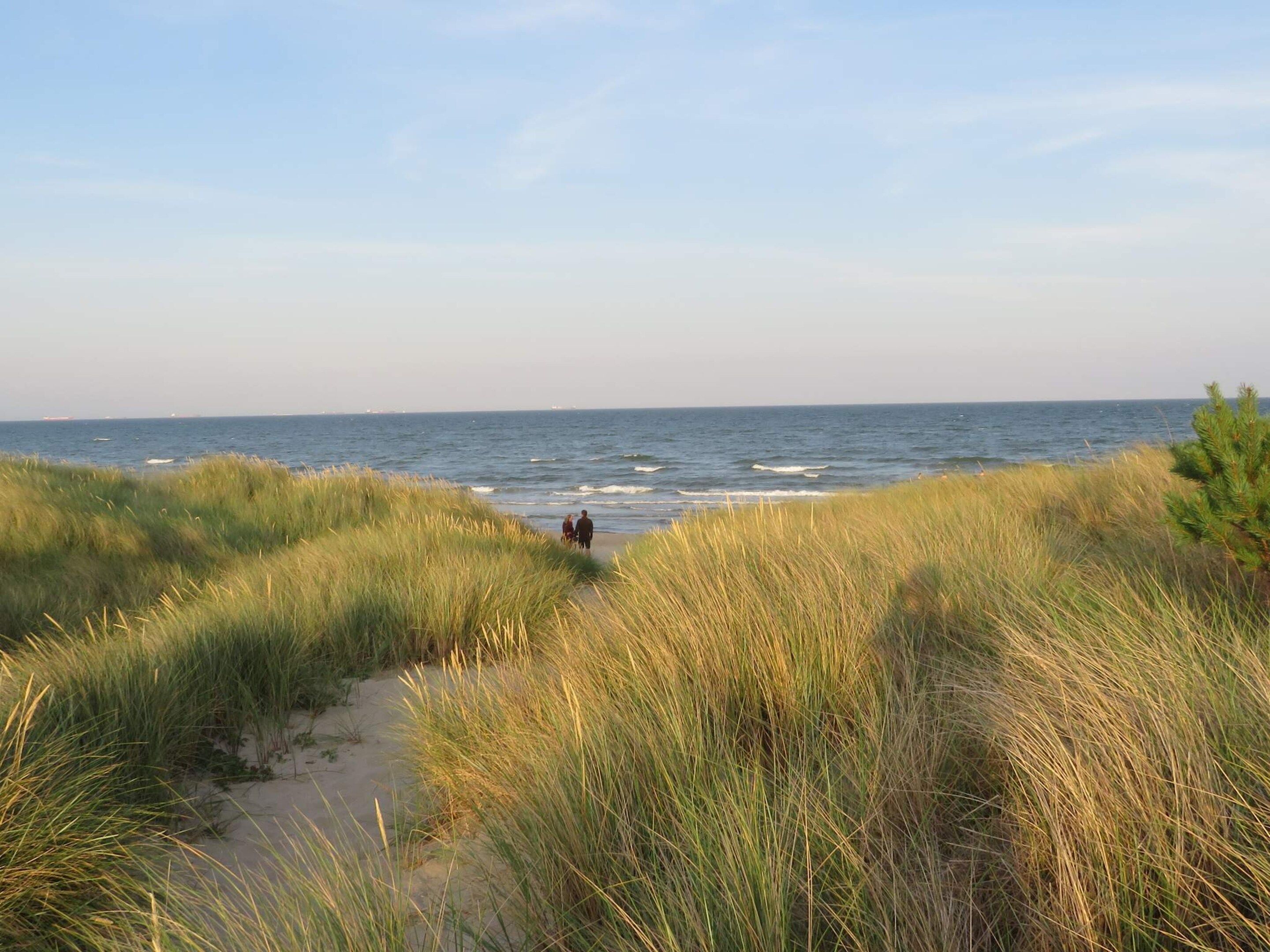 A coastal path leading to the sea, surrounded by tall grass.