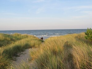 House | Beach