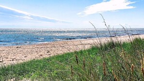 A beach with a clear sky, sandy shore, and green vegetation. - 4 Star Holiday Home in Vaeggerlose (Vaeggerlose)