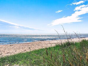 A beach with a clear sky, sandy shore, and green vegetation. - 4 Star Holiday Home in Vaeggerlose (Vaeggerlose)