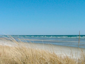 独立别墅 | 海滩