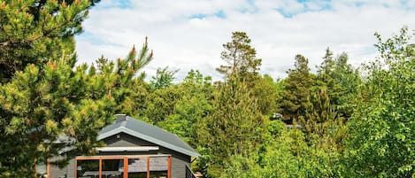 الإطلالة من المنشأة