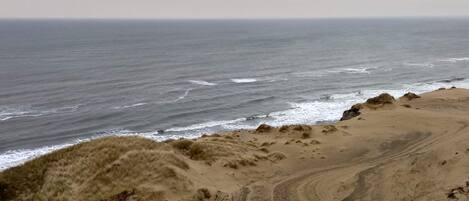A coastal landscape with a sandy beach and ocean.