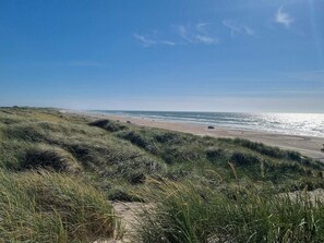 Una playa con dunas y cielo despejado.