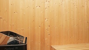 Sauna - Modern Holiday Home in Albaek With Terrace (Aalbaek)
