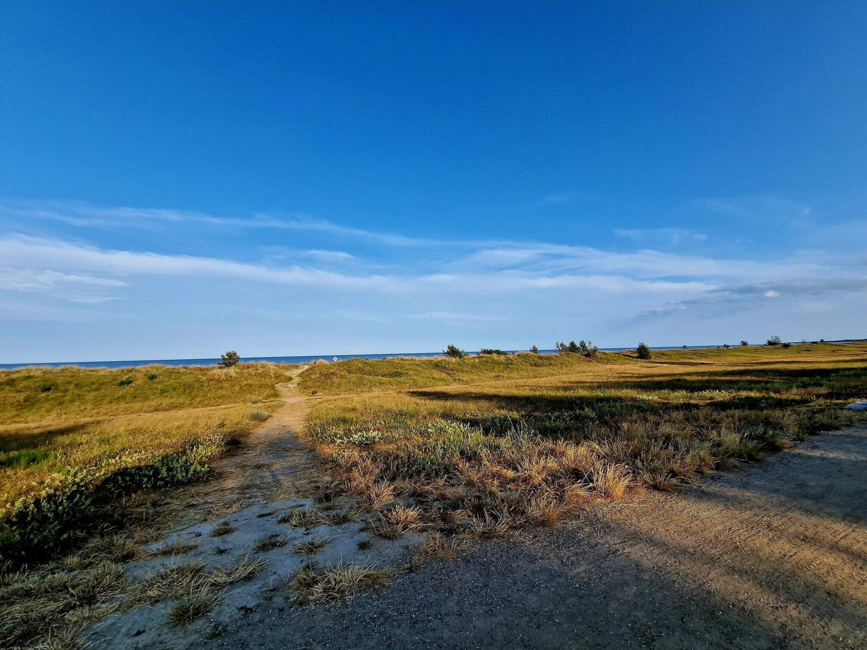 Un sentiero sterrato che si snoda attraverso un paesaggio erboso sotto un cielo sereno.