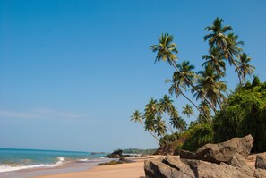 House, 2 Bedrooms, Smoking, Terrace | View from property - Angel Villa - Exotic Holidays in Private Villa Near Beach (Beruwala)