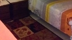 A bunk bed room with a patterned rug, a small bedside table, and a wall-mounted light fixture. - Room-green Sea Inn San Luis (San Andrés)