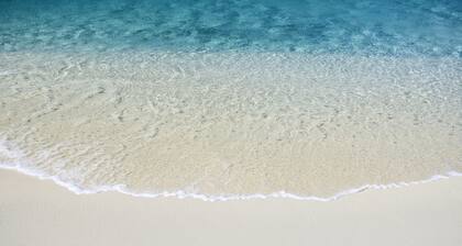 Near Img And Siesta Key Beach Paradise Home