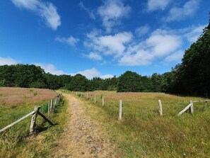 A dirt path leading through a grassy field with wooden fences on either side.