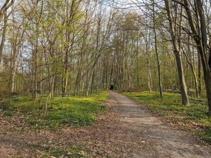 House | Miscellaneous