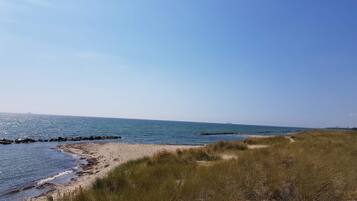 Ein Strand mit blauem Himmel, sandigem Ufer und grasbewachsenen Dünen.