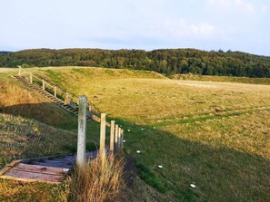 House | Miscellaneous