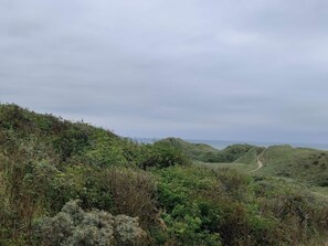 House | Miscellaneous