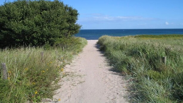 Ein sandiger Pfad führt zum Meer, gesäumt von dichtem Grün.