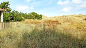 Une cabane en bois, dotée d’un toit en pente, entourée d’herbes sèches et de buissons, sous un ciel dégagé.