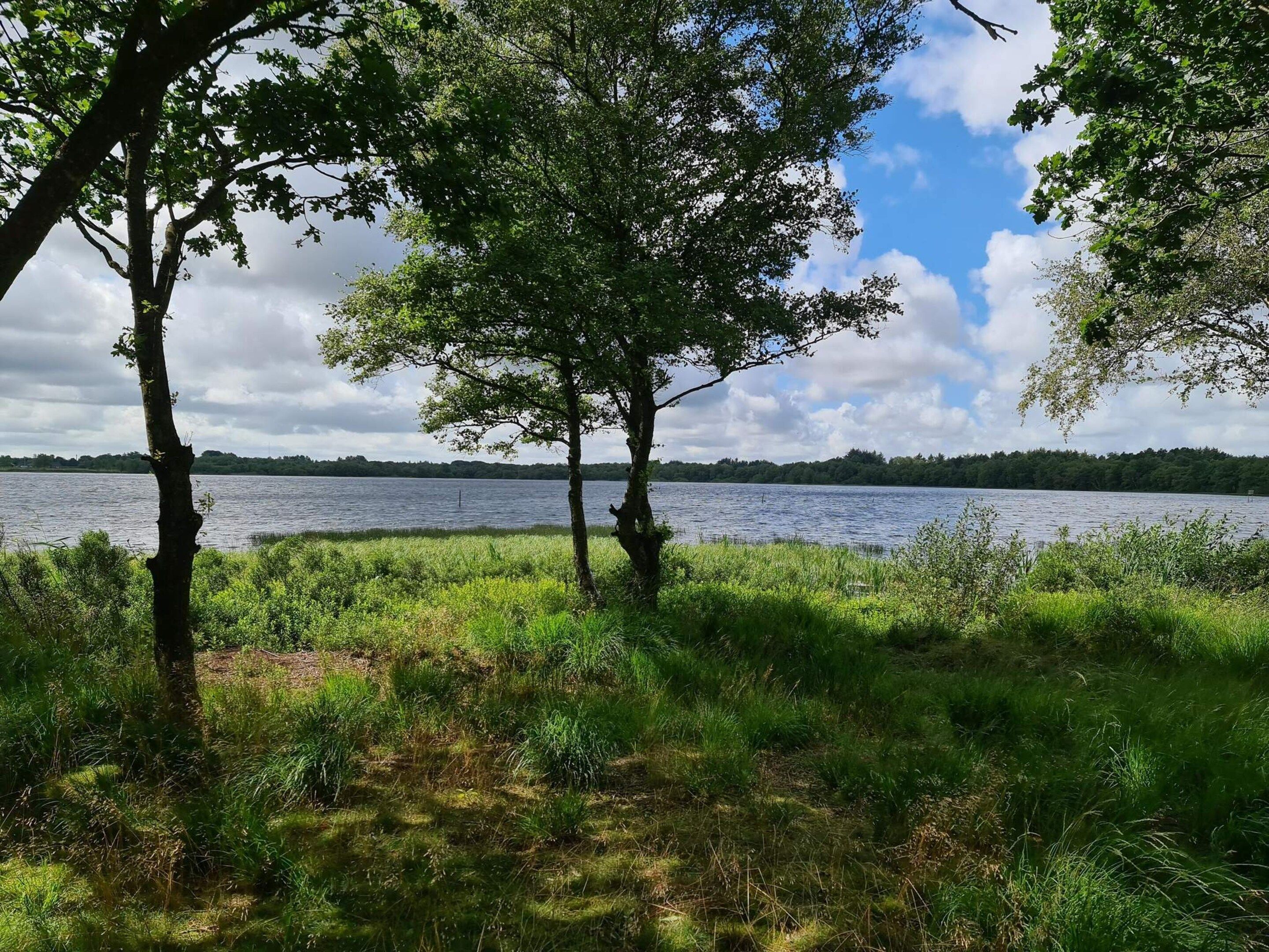 Eine natürliche Landschaft mit Bäumen und einem Gewässer.