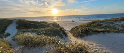 A beach with sand dunes and a clear sky.