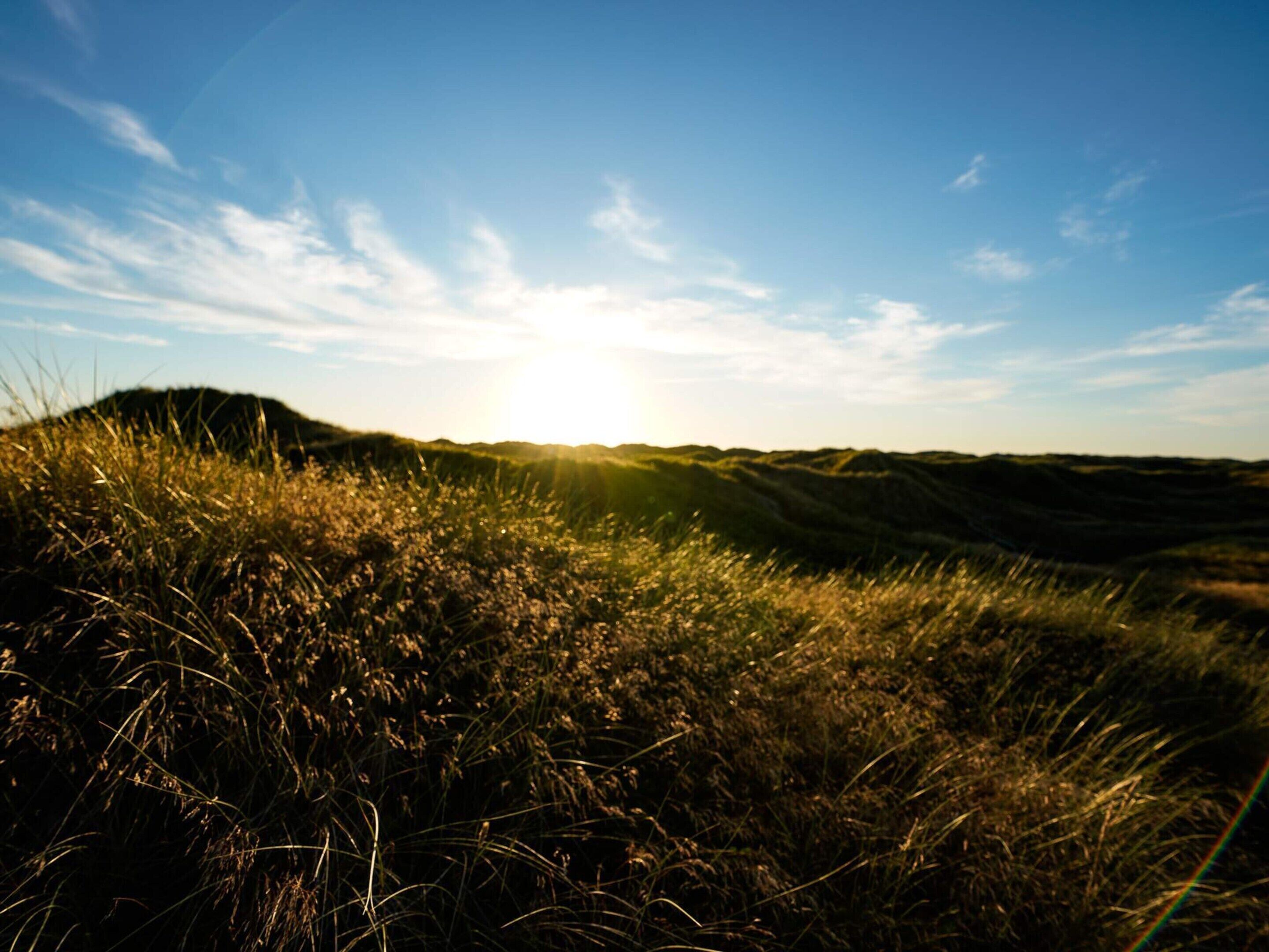 House | Miscellaneous