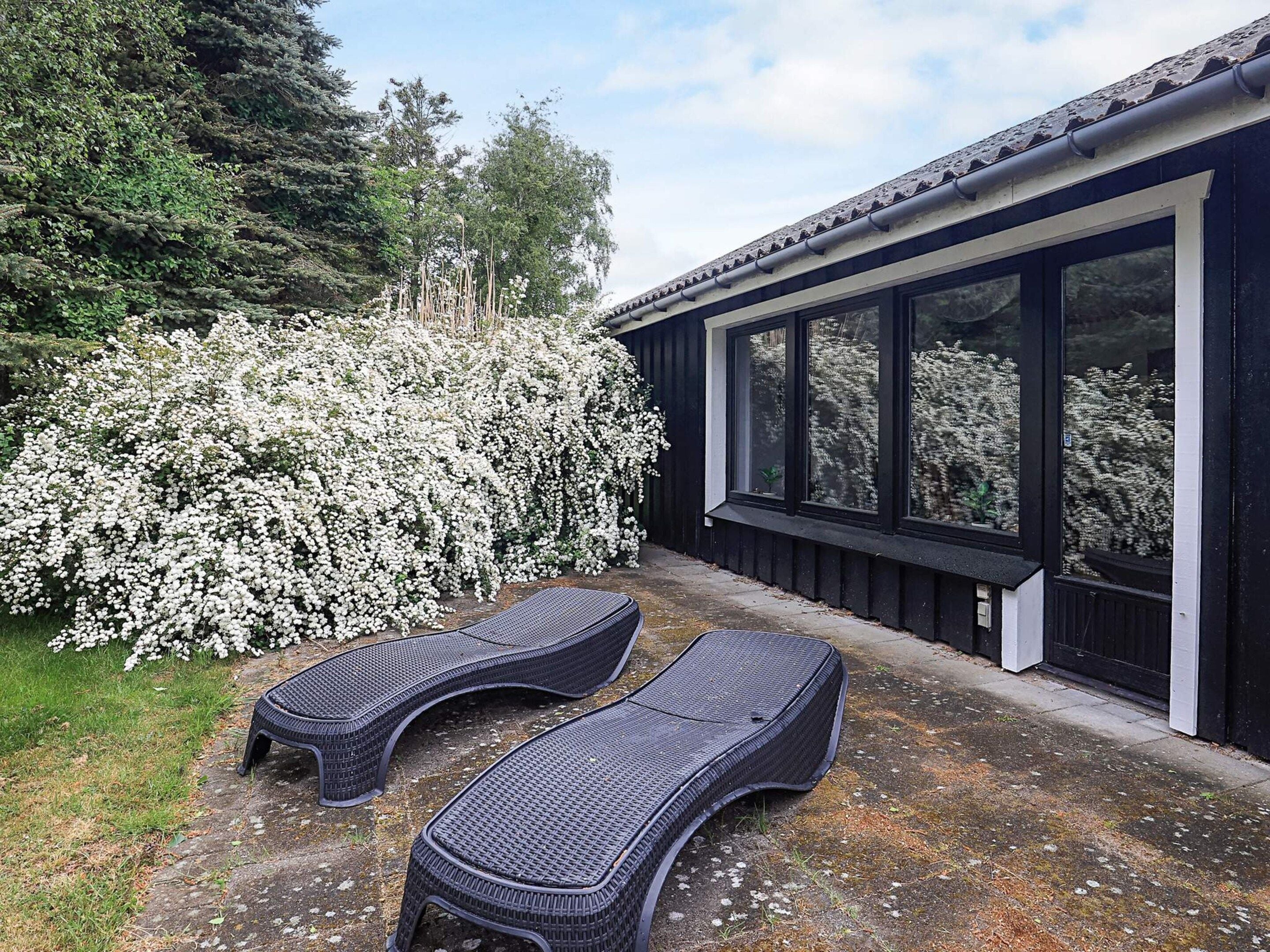 A patio with two lounge chairs and a large flowering bush.