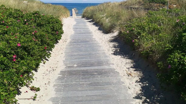 A pathway leading to the beach with sand and vegetation on either side. - 6 Person Holiday Home in Jerup (Jerup)