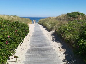 A pathway leading to a beach with a clear view of the ocean. - 6 Person Holiday Home in Jerup (Jerup)