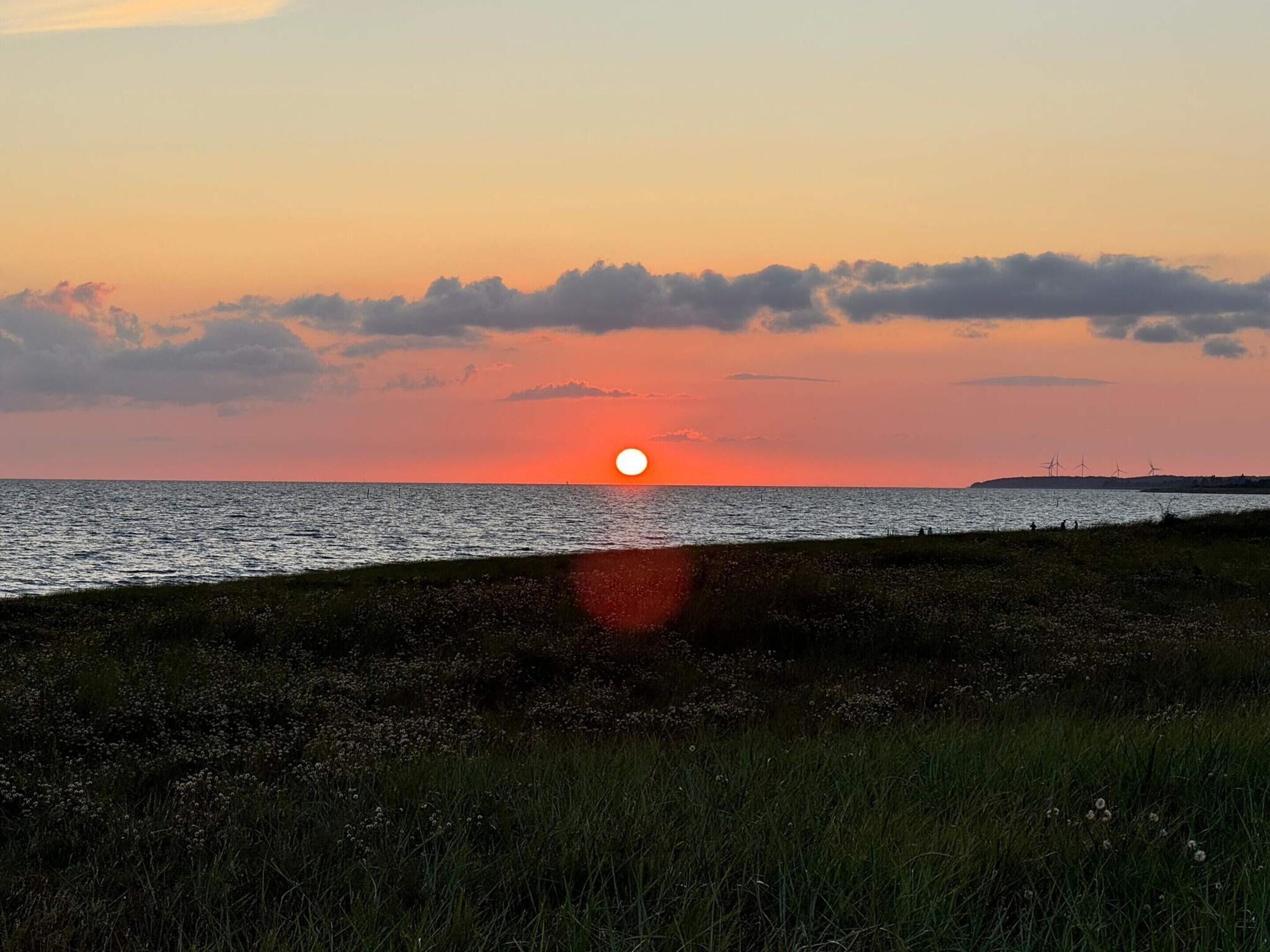 A sunset over a body of water with a grassy foreground and distant wind turbines.