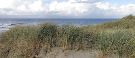 A beach with sand dunes and the ocean in the background.