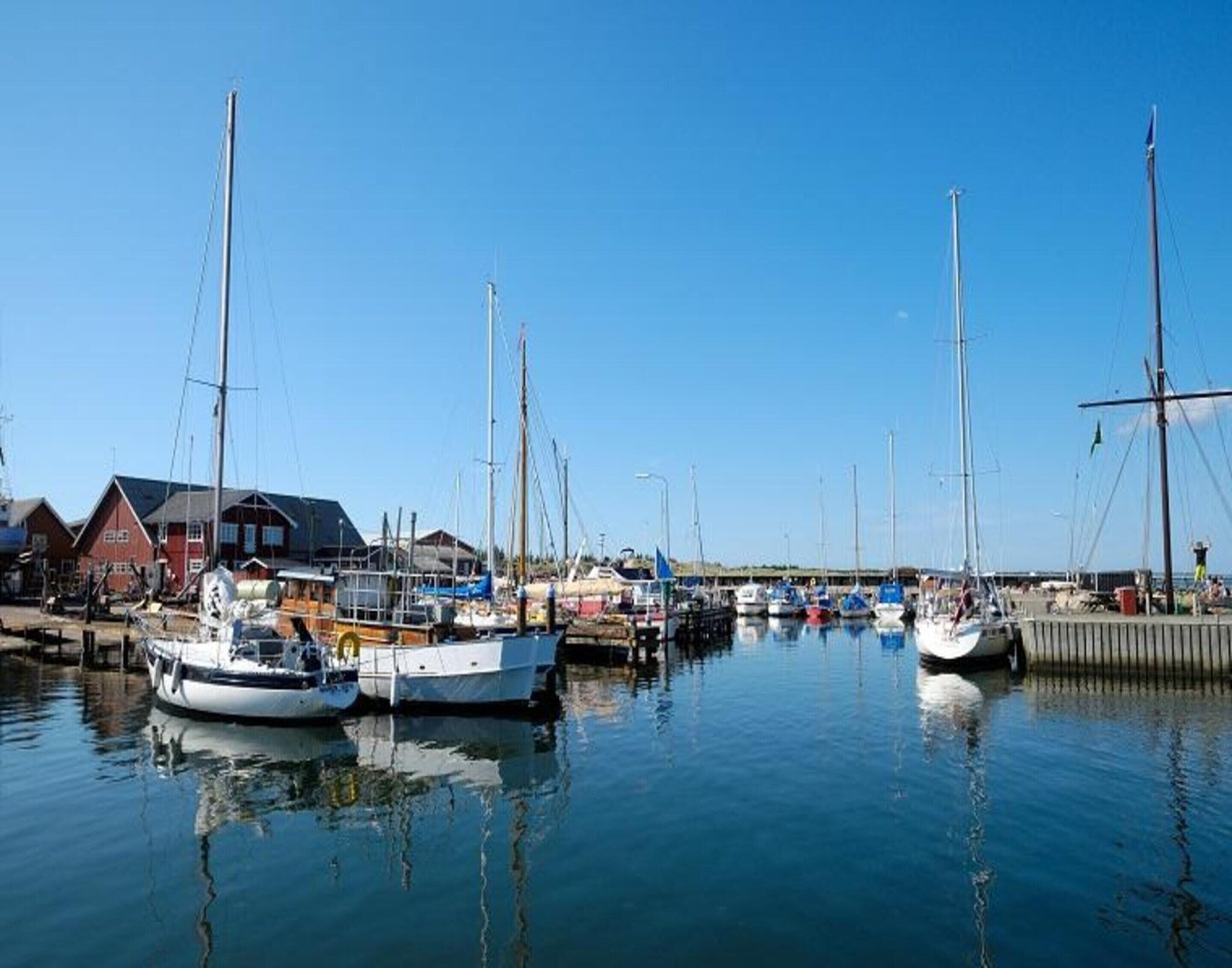 En lysthavn med flere sejlbåde i havnen, en træbrygge og bygninger i baggrunden.