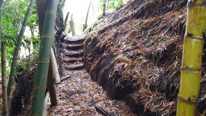 A narrow bamboo path with steps leading up a steep, leaf-covered slope. - Tranquility, Fresh Air, Birds-eye View, Green Areas, Panoramic View (Villamaria)