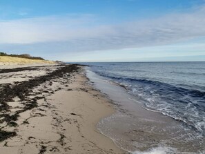 A beach with sand and seaweed, a clear sky, and a distant horizon. - 4 Star Holiday Home in Vaeggerlose (Vaeggerlose)