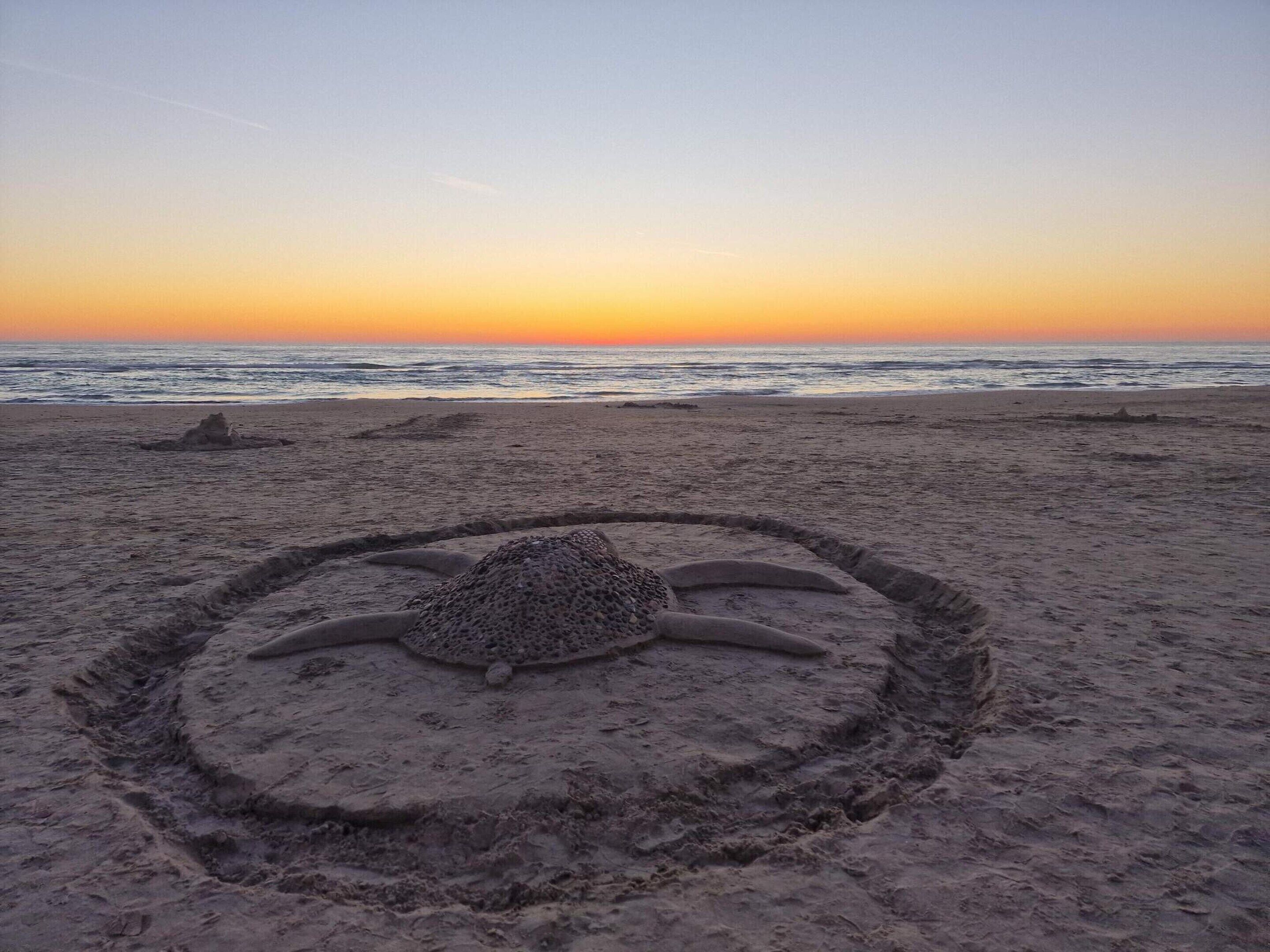 A beach with a sand art of a turtle.