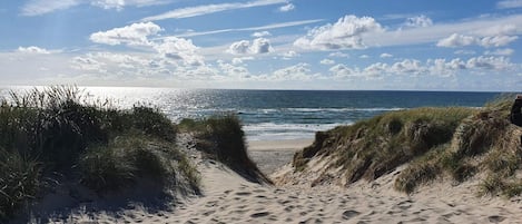A sandy beach with dunes and a clear view of the ocean.