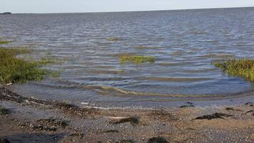 A beach with water, pebbles, and sparse vegetation.