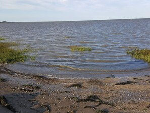 A beach with water, pebbles, and sparse vegetation.