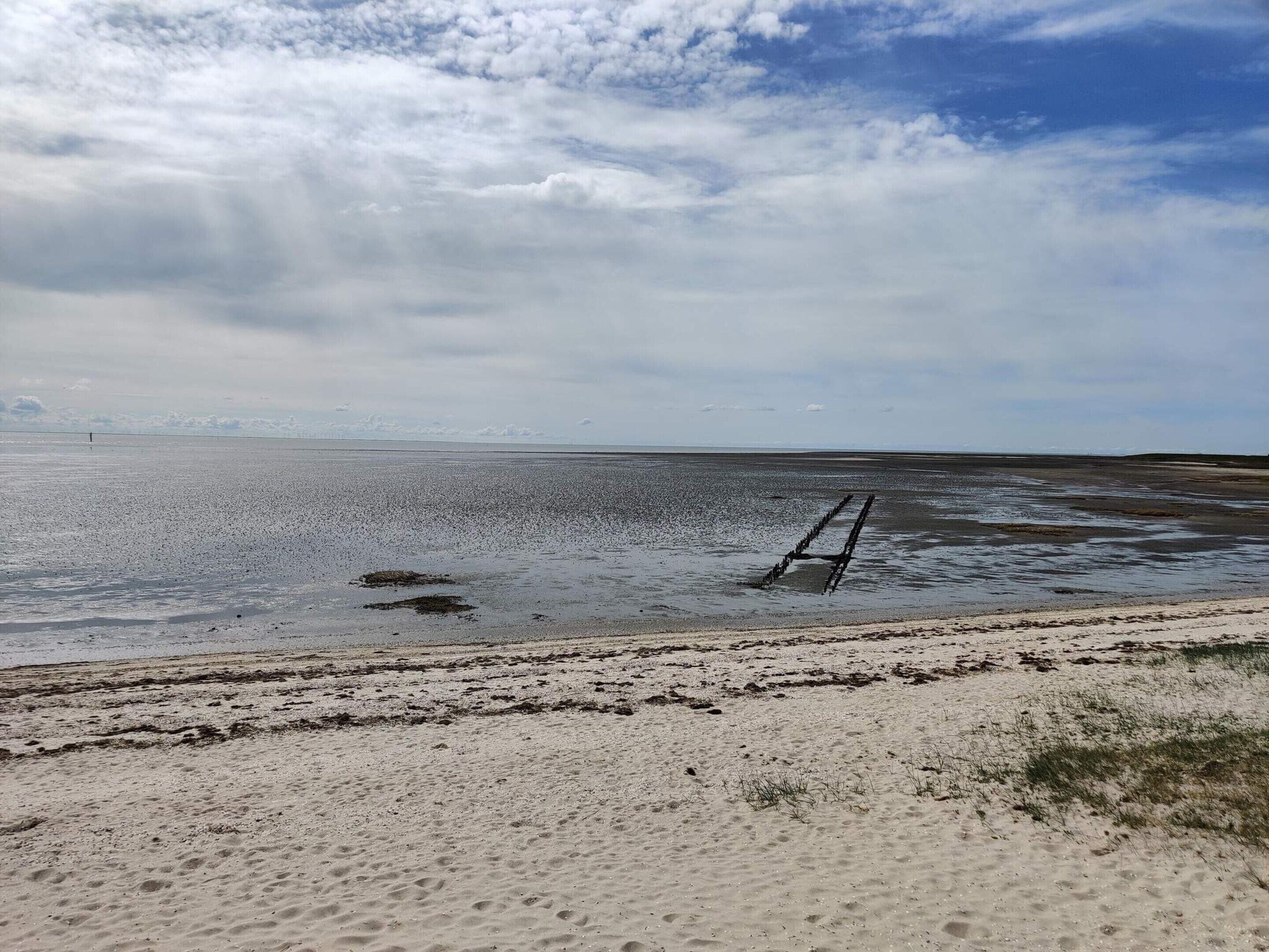Ein Strand mit einer Leiter zum Wasser, sandigem Ufer und bewölktem Himmel.