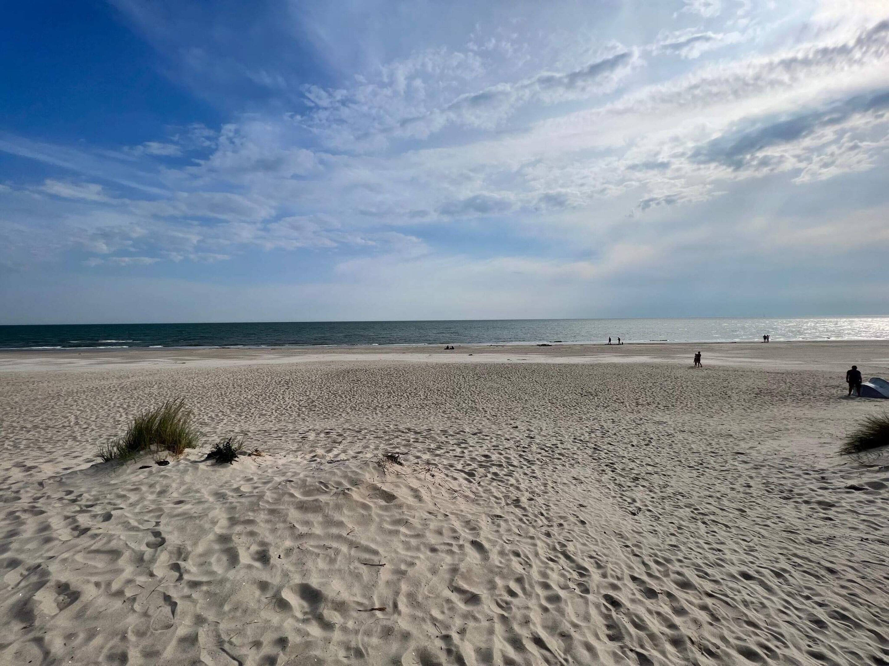 Une plage de sable avec des empreintes et une végétation clairsemée.