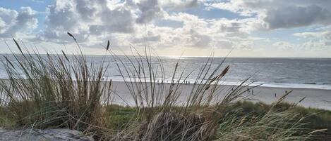 บ้านพัก | ชายหาด