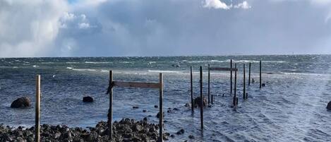 A rocky shoreline with wooden posts and waves crashing onto the beach.