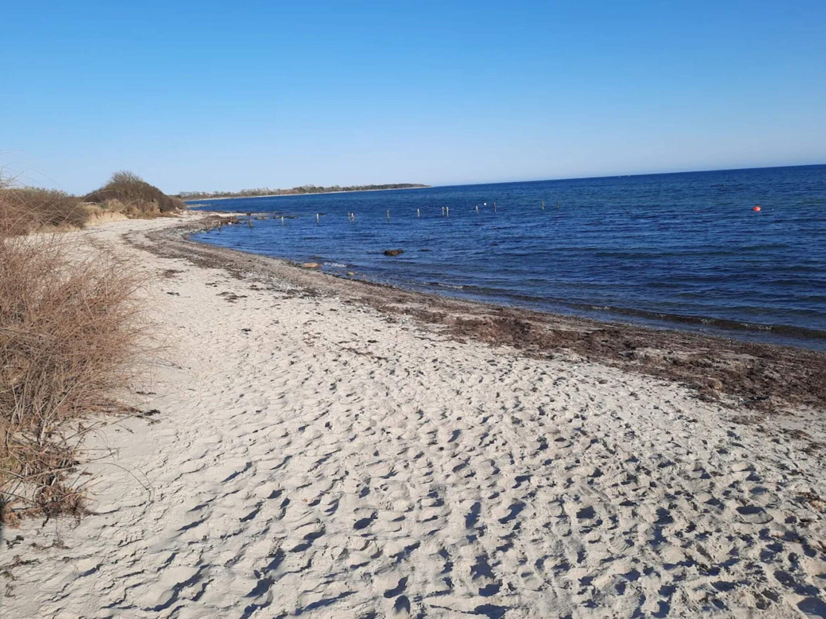 A sandy beach with a clear blue sky and calm sea.
