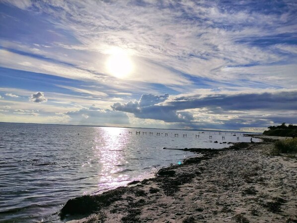 A beach with a pier extending into the water, a clear sky, and the sun reflecting on the water.