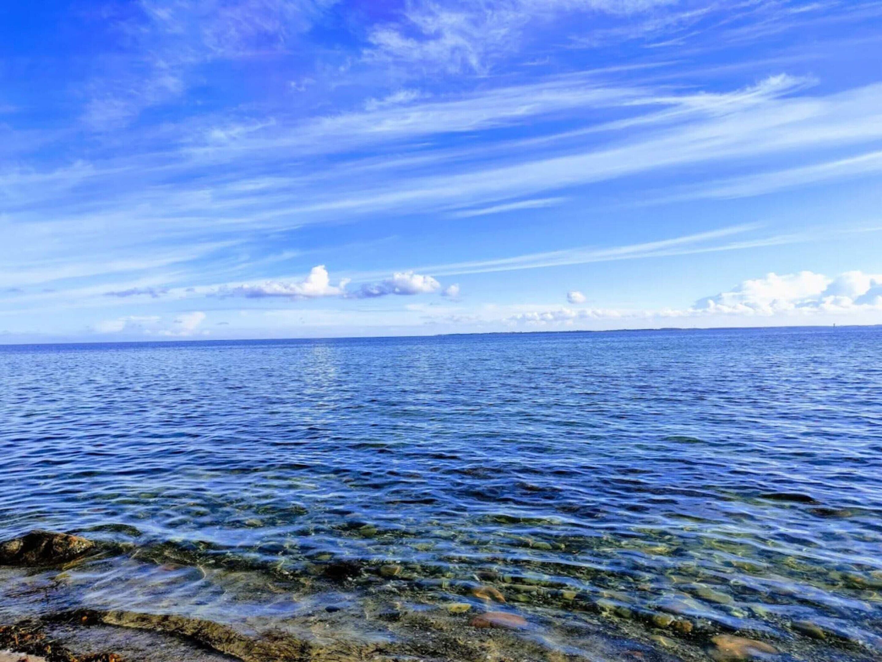 Ferienhaus | Blick auf das Wasser
